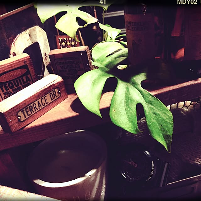 Rans_andy.さんの実例写真