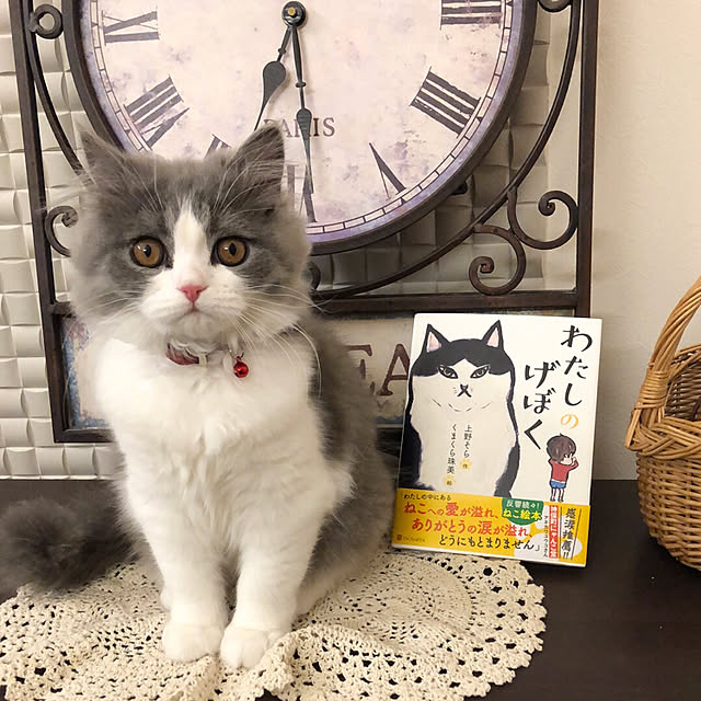 kana0818さんの実例写真