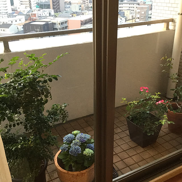 greenpancerさんの実例写真