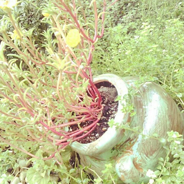 akr29さんの実例写真
