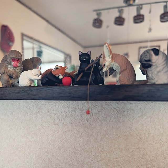 mikoさんの実例写真
