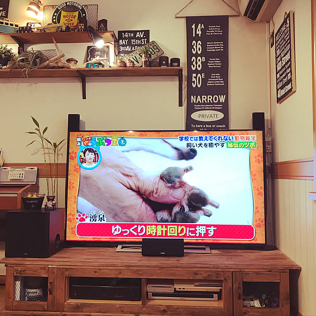 1000gaさんの実例写真