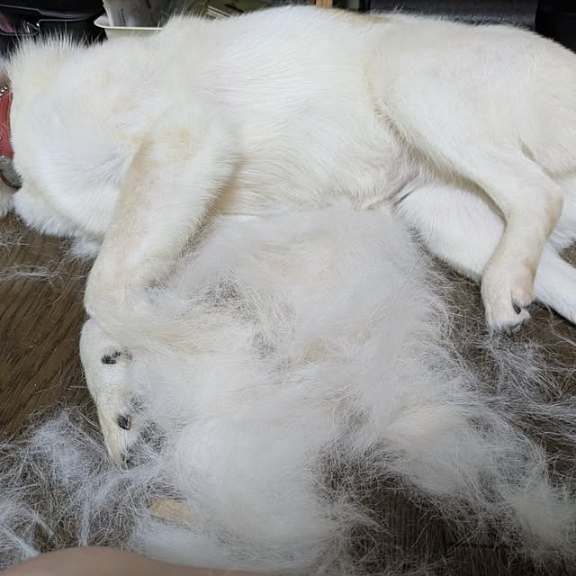 asaさんの部屋