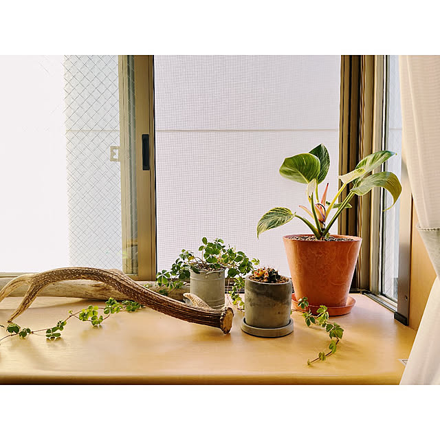 w_end_0625さんの実例写真