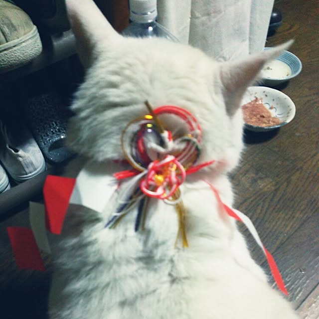 kamechanさんの実例写真