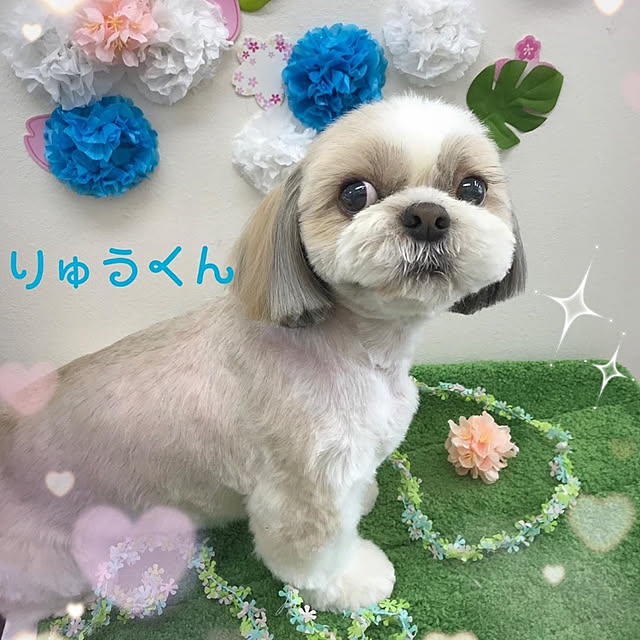 ronさんの実例写真