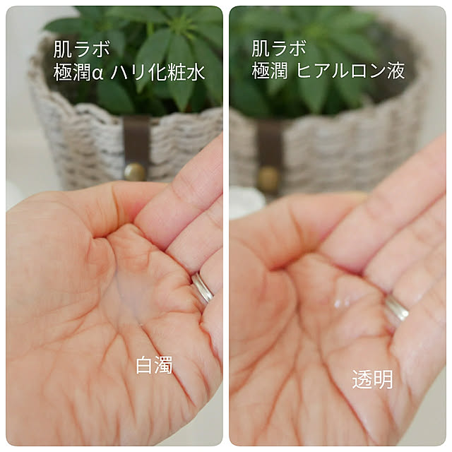 merciさんの実例写真