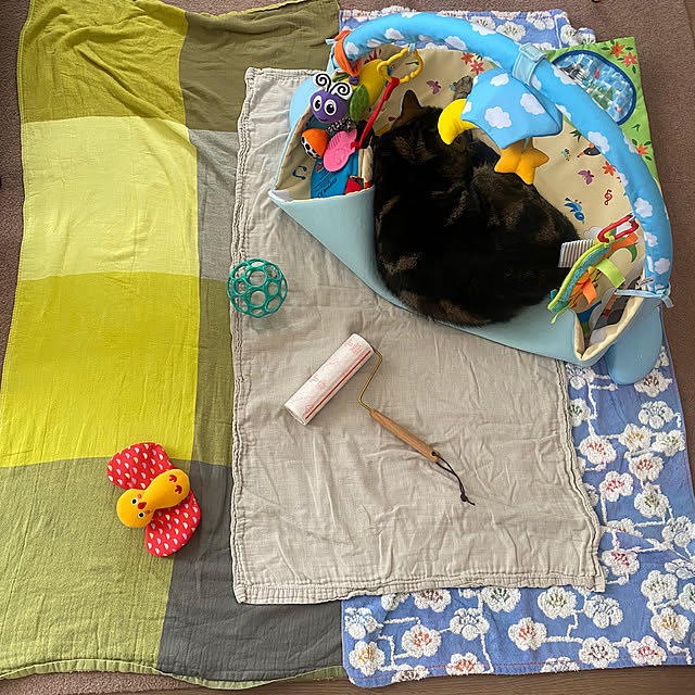 mikomaruさんの実例写真