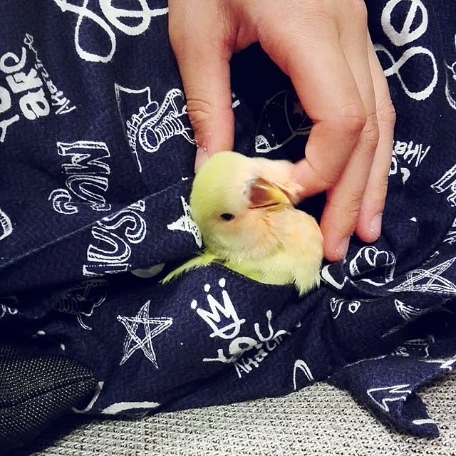yukkieさんの実例写真