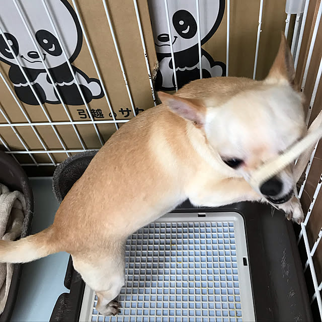 nacchintunnさんの実例写真