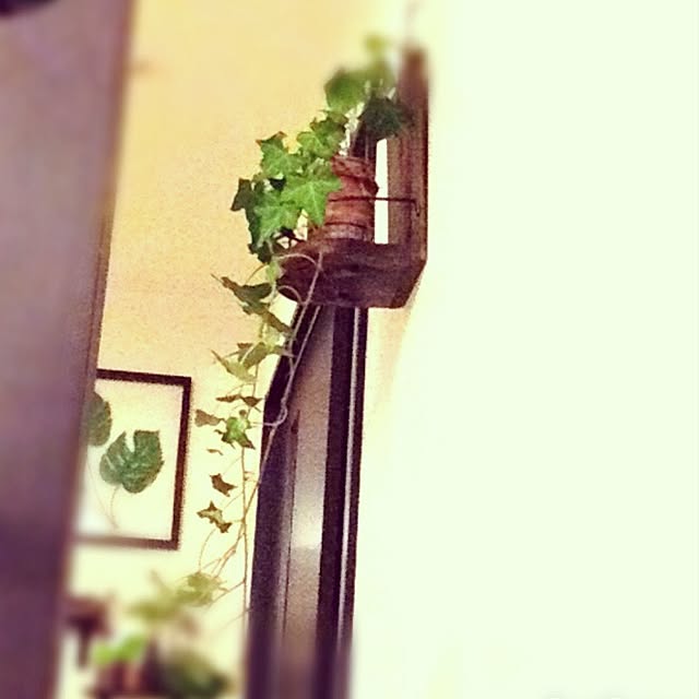 Rans_andy.さんの実例写真