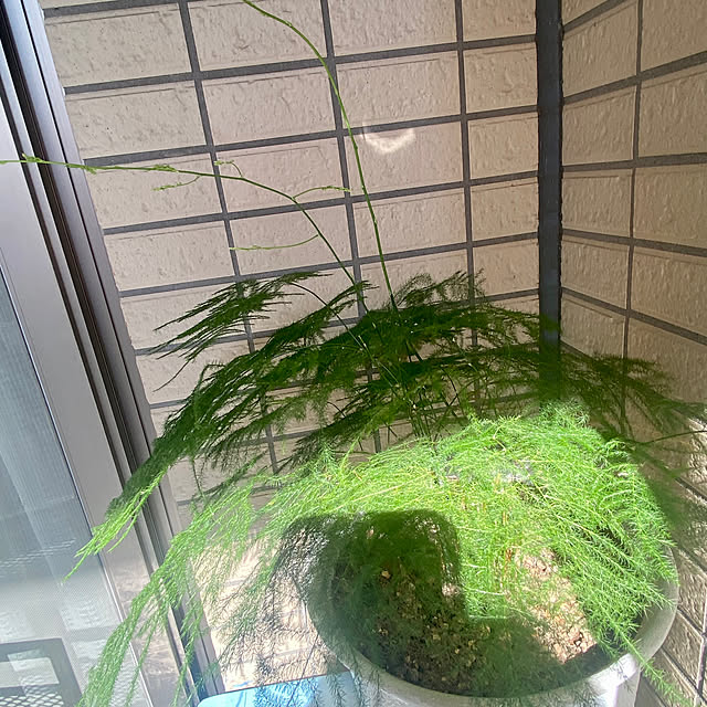 YuuKoさんの部屋