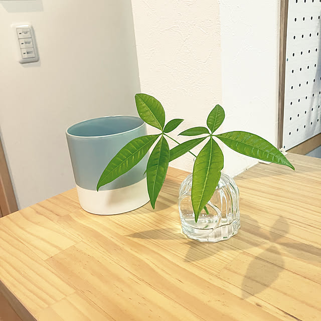 keep_patienceさんの部屋