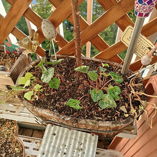 mariaさんの部屋