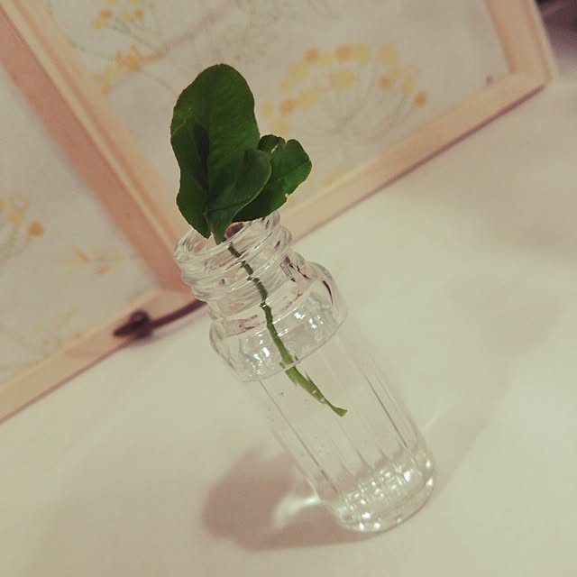 haru_m06さんの実例写真