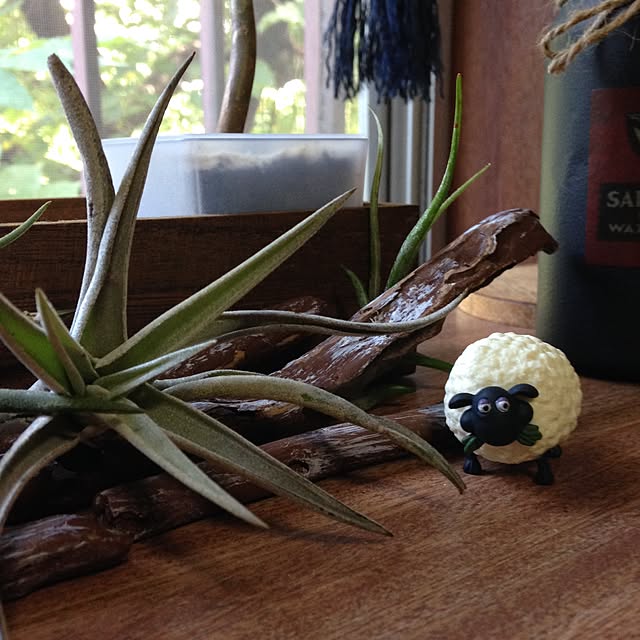 mikyuさんの実例写真