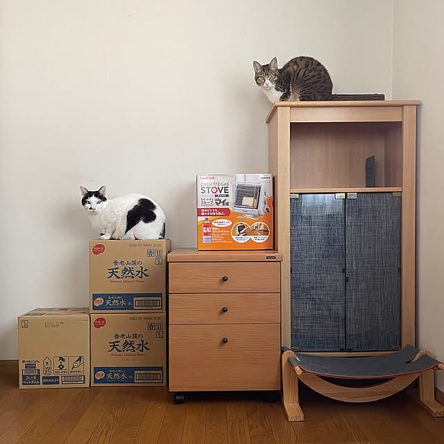 nobikoさんの部屋