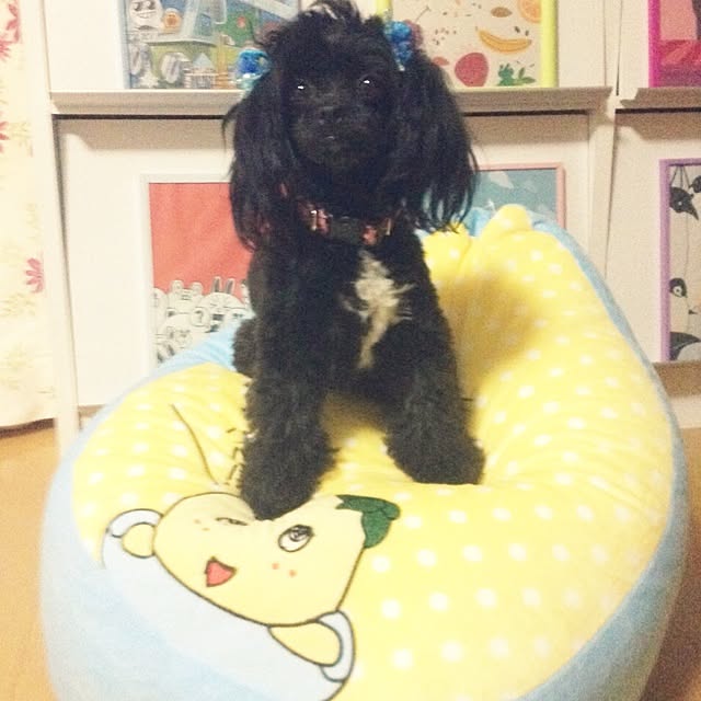 yukiさんの実例写真