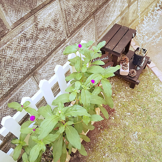 25Moondropsさんの実例写真