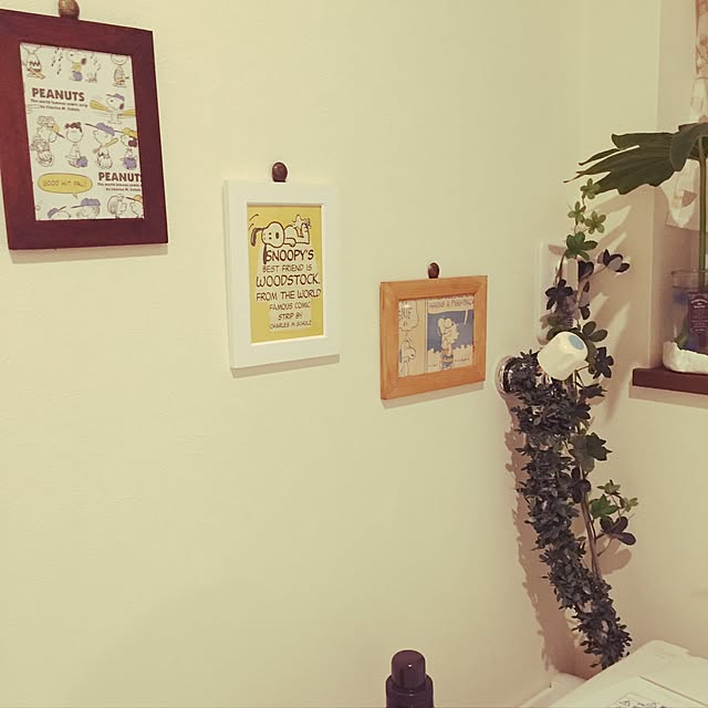 hikanaさんの実例写真