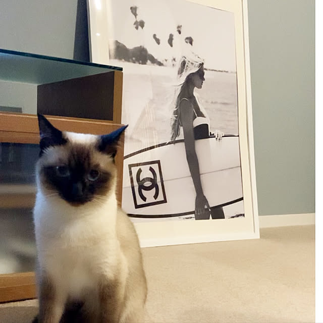 kurimarokoさんの実例写真