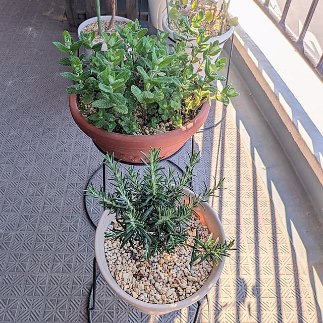 mi-saさんの部屋