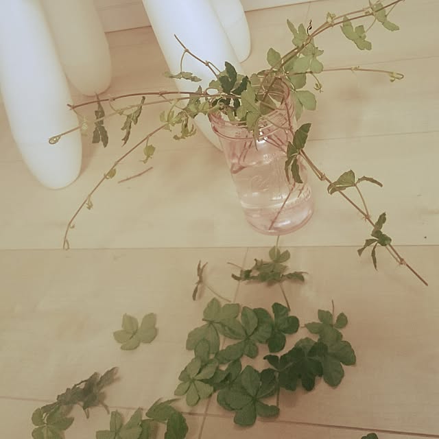 yukixx328さんの実例写真
