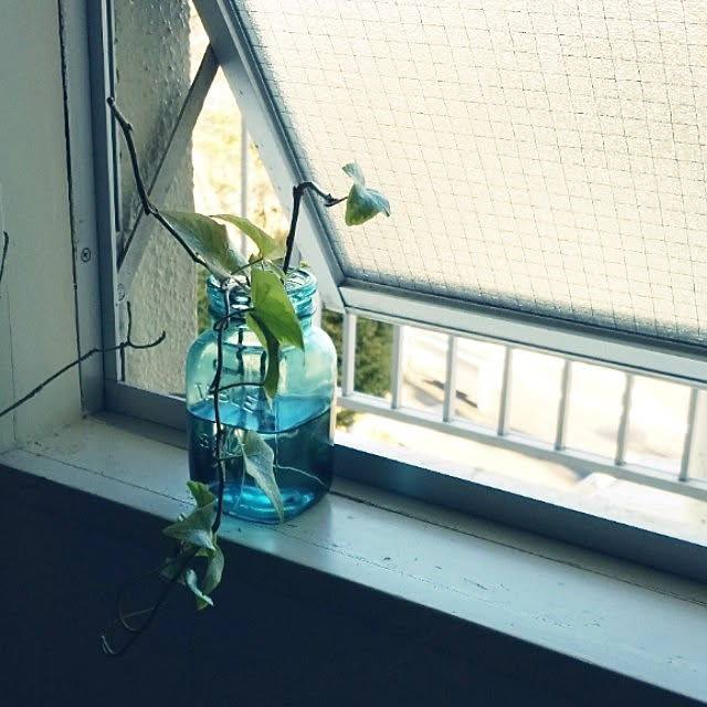 kikiさんの実例写真