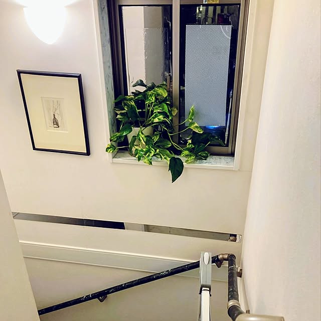 壁/天井/好きな眺め/ダイソー/海外風インテリア/ホテルライク...などのインテリア実例 - 2026-01-12 06:45:07