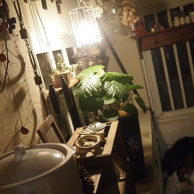 mugi-fukuさんの実例写真