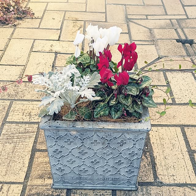 renrinmamaさんの実例写真