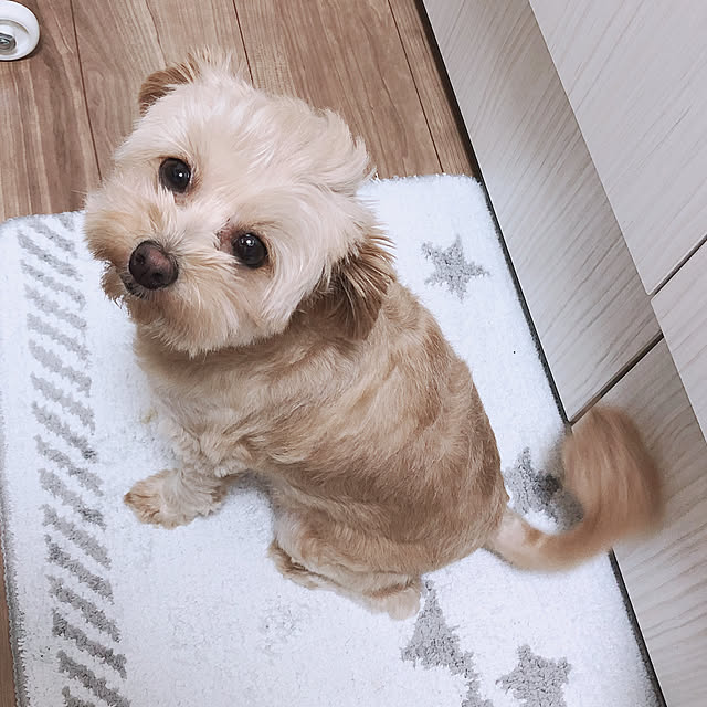 hideさんの実例写真