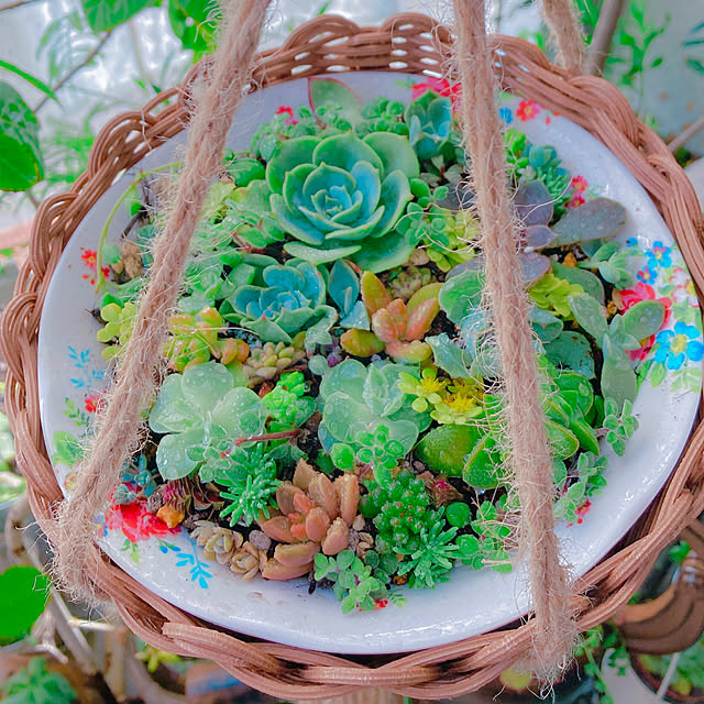 Hanakaさんの部屋