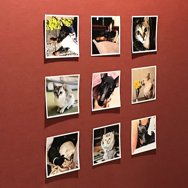 erikaさんの実例写真