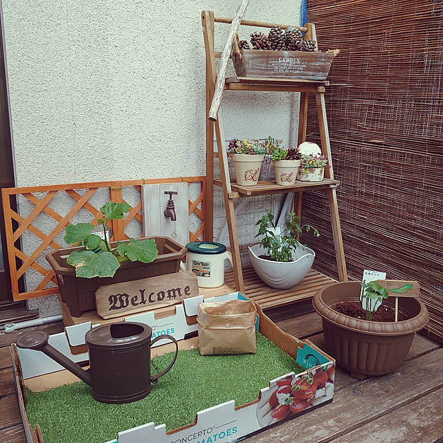 壁/天井/プチプラアイテム/築年数46年以上/古い家に住む/古い家を楽しむ...などのインテリア実例 - 2022-05-15 17:33:56