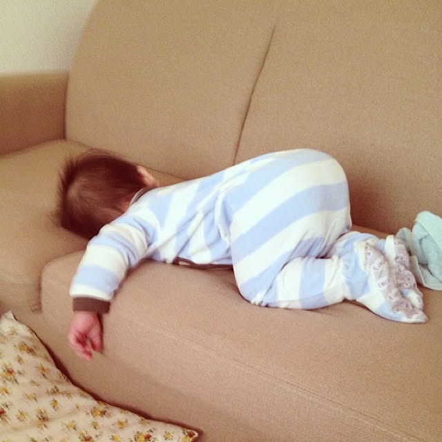shihoさんの実例写真
