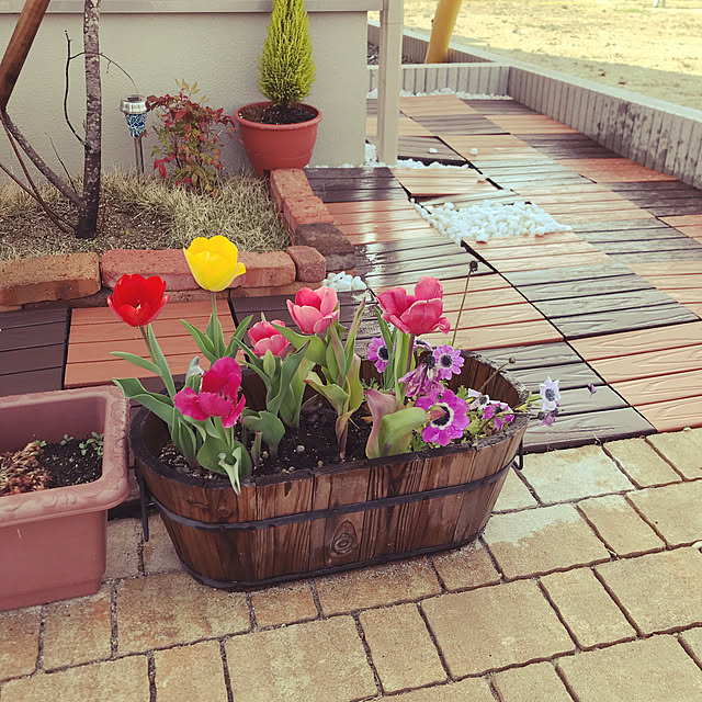 happypureさんの実例写真