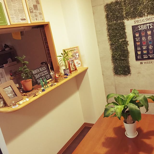 Yuichiさんの実例写真