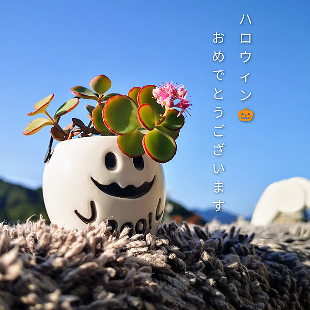 mionaさんの実例写真