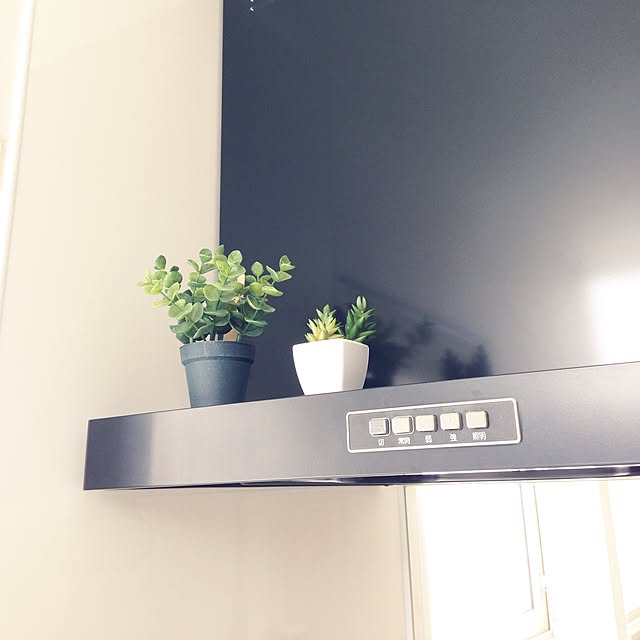 sasaさんの実例写真