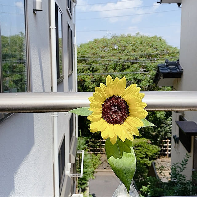 花のある暮らし/花のある生活/ベランダ/壁/天井のインテリア実例 - 2020-08-16 11:08:30