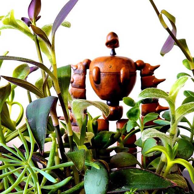 観葉植物/観葉植物のある部屋/ディスプレイ/リビングのインテリア実例 - 2021-07-24 12:30:09