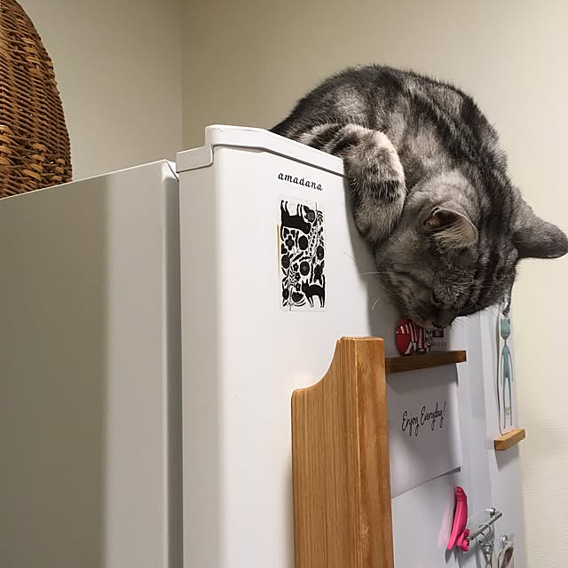 mikomaruさんの実例写真
