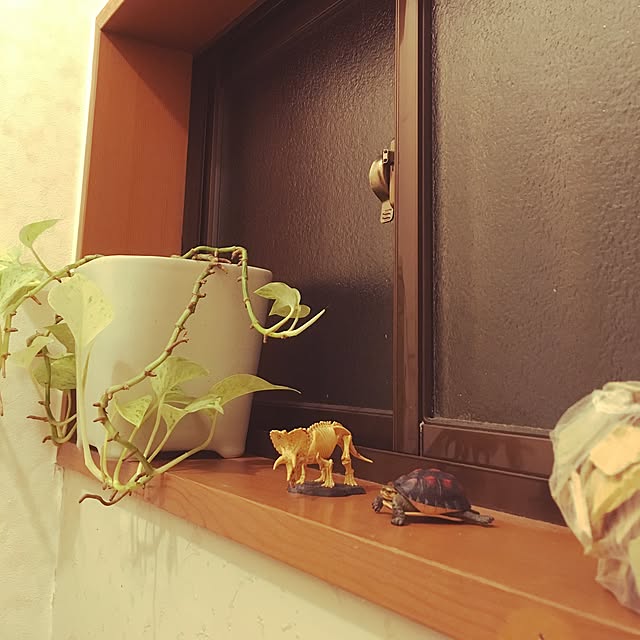 ilucaさんの実例写真