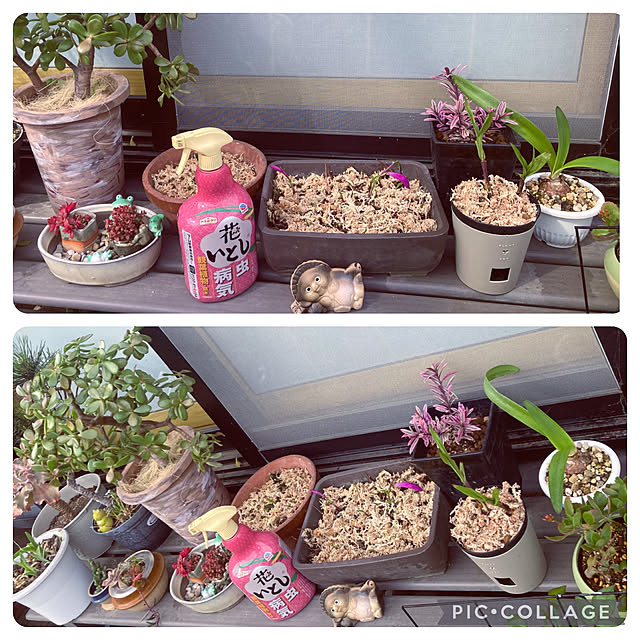 CoCo0617さんの部屋