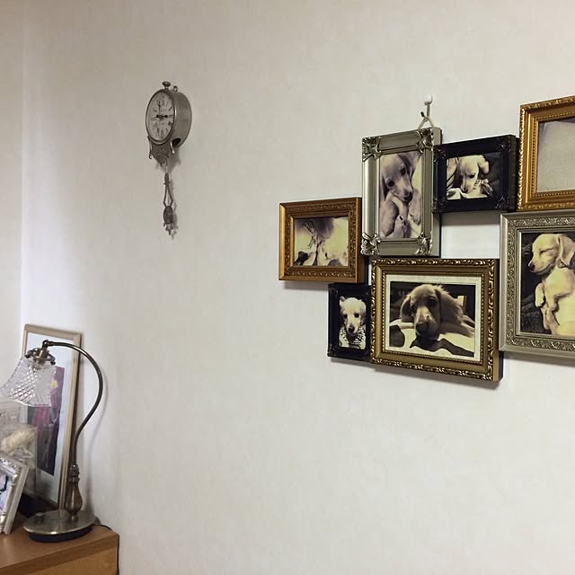 sakuranさんの実例写真