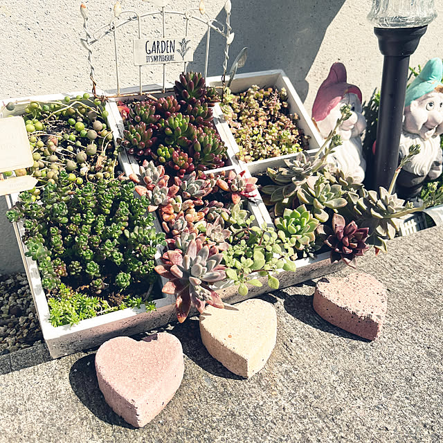 Hi5さんの部屋