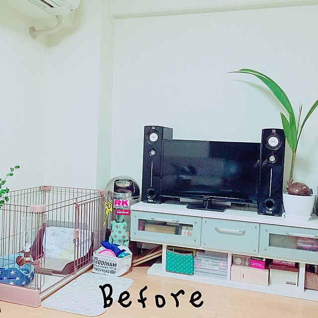 実例写真