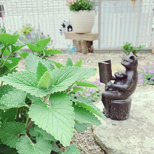 moolさんの実例写真