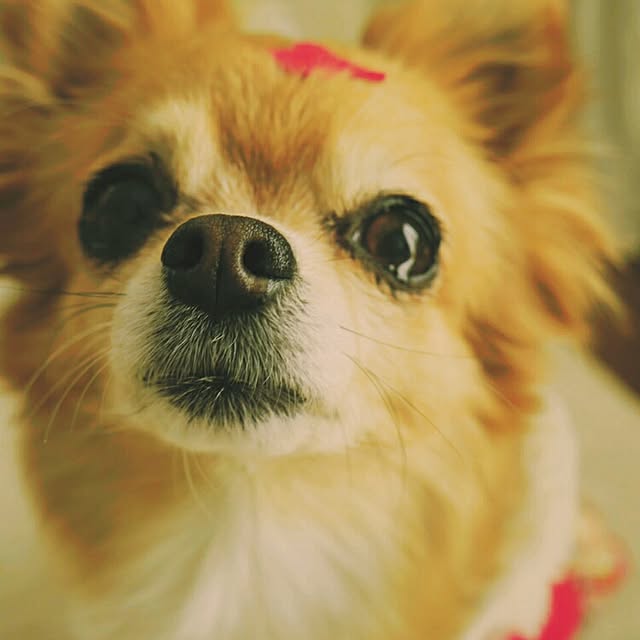 achiさんの実例写真